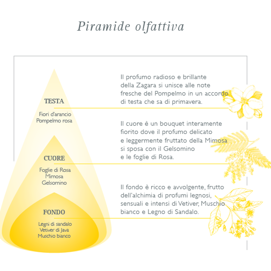 NASOTERAPIA - MIMOSA e ZAGARA Diffusore 500ml - vendita online by le Erbe  di Sara